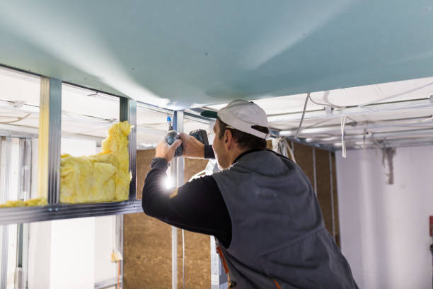 Best Commercial Insulation Contractor  in Seis Lagos, TX