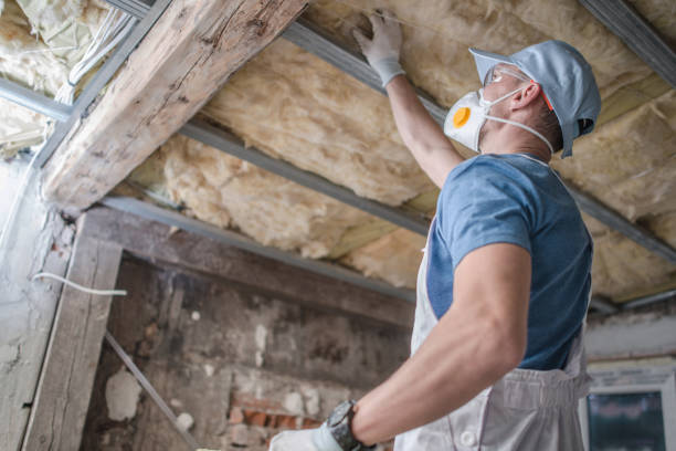 Best Professional Insulation Contractor  in Seis Lagos, TX