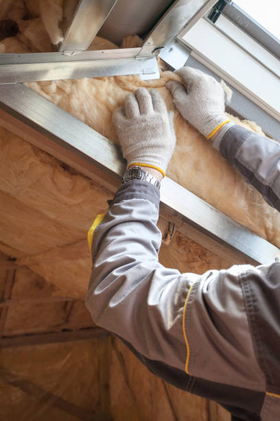 Best Insulation for New Construction  in Seis Lagos, TX