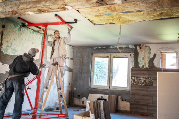 Best Insulation Replacement Services  in Seis Lagos, TX