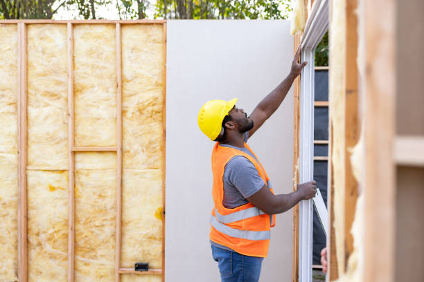 Best Insulation Inspection Services  in Seis Lagos, TX