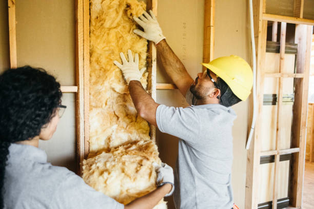 Best Cellulose Insulation  in Seis Lagos, TX