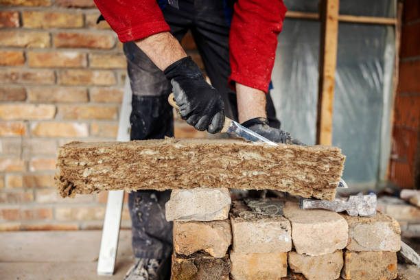 Best Attic Insulation Installation  in Seis Lagos, TX