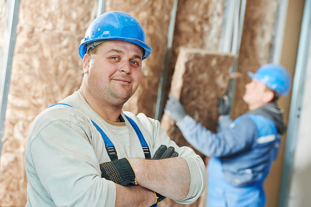Best Wall Insulation Contractor  in Seis Lagos, TX