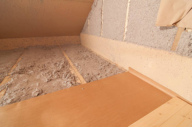 Best Spray Foam Insulation  in Seis Lagos, TX