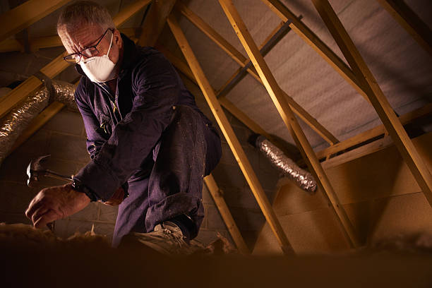 Best Crawl Space Insulation  in Seis Lagos, TX