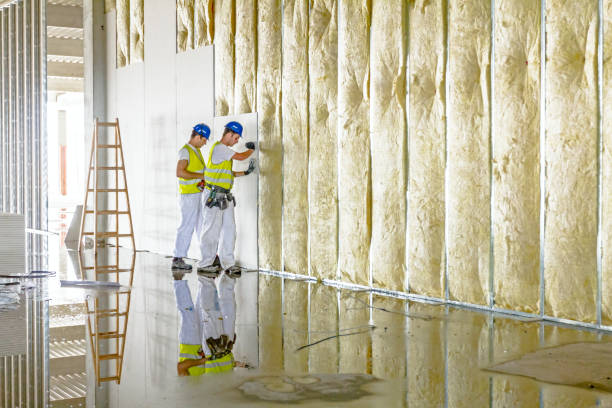 Best Insulation for New Construction  in Seis Lagos, TX